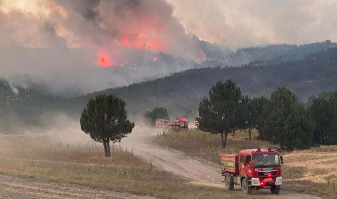 Eskişehir'den Afyonkarahisar'a sıçrayan orman yangınında şehit olan 5 orman çalışanı