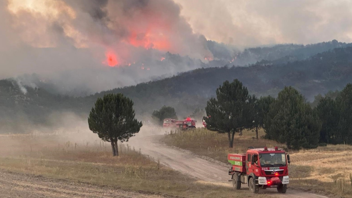 Eskişehir'den Afyonkarahisar'a sıçrayan orman yangınında şehit olan 5 orman çalışanı