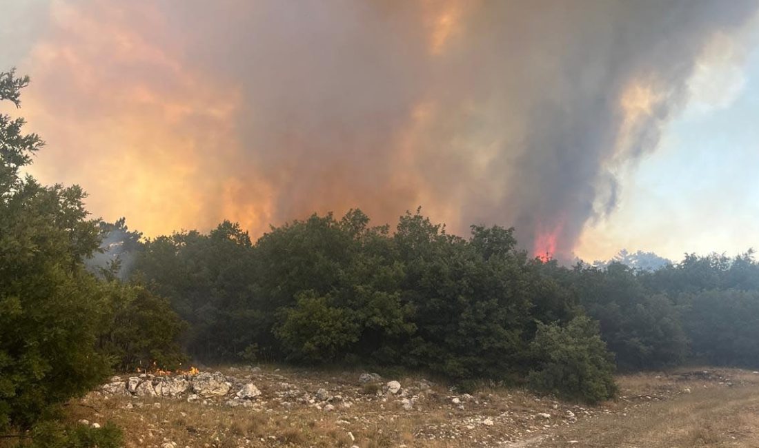 Seyitgazi ilçesinde orman yangını çıkarken bölgeye sevk edilen gruplar ise