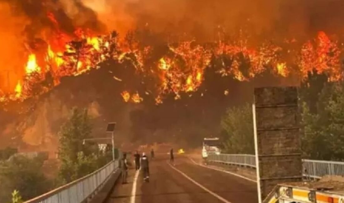 Seyitgazi ilçesinde orman yangınını söndürme çalışmalarında şehit olan 5 orman