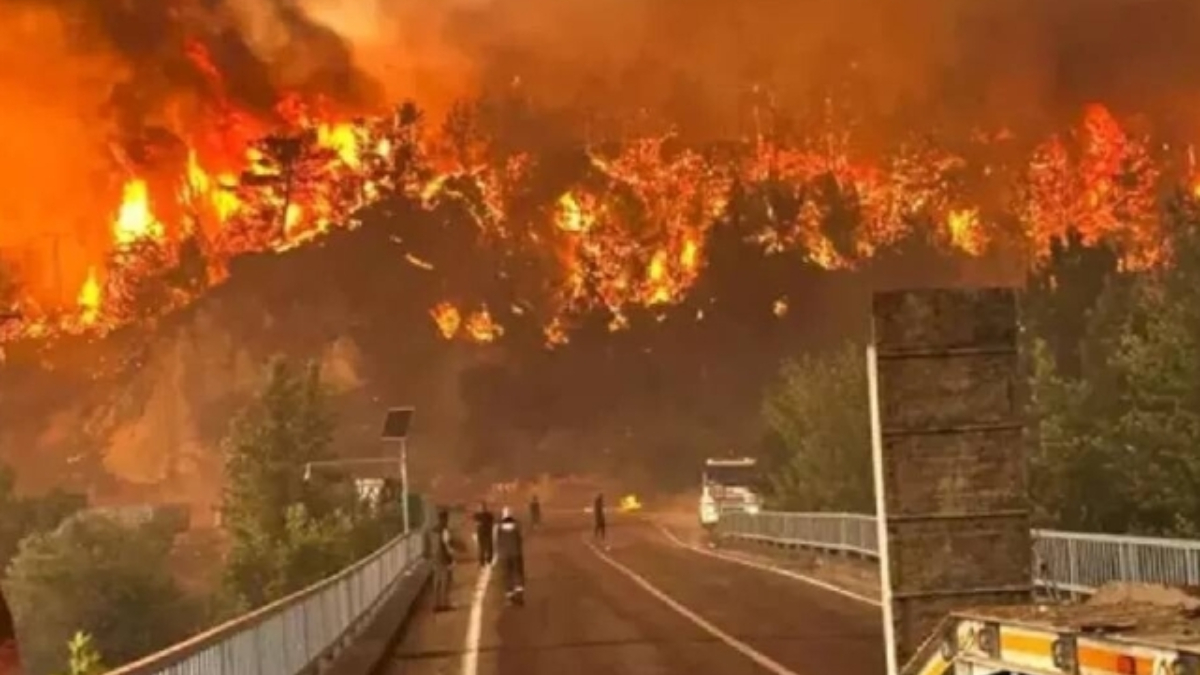 Seyitgazi ilçesinde orman yangınını söndürme çalışmalarında şehit olan 5 orman