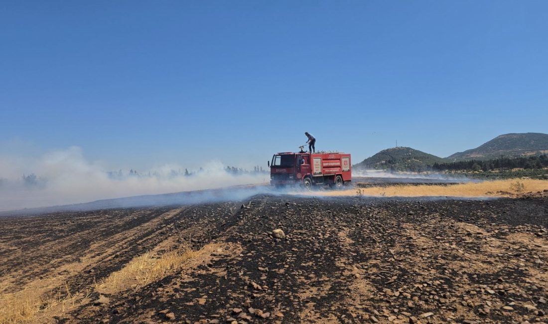 Gaziantep'in İslahiye ilçesinde, yaklaşık 110 dönümlük arazi yandı.