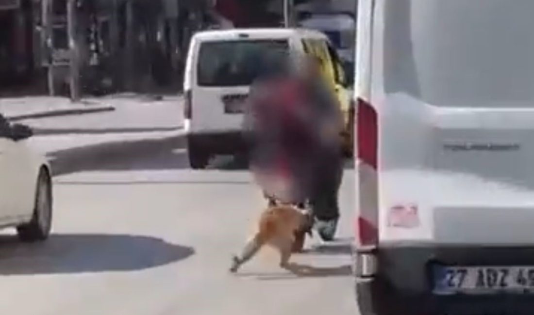 Gaziantep'te iki kişi motosikletin gerisine bağladıkları köpeği zorla götürmeye çalıştı.