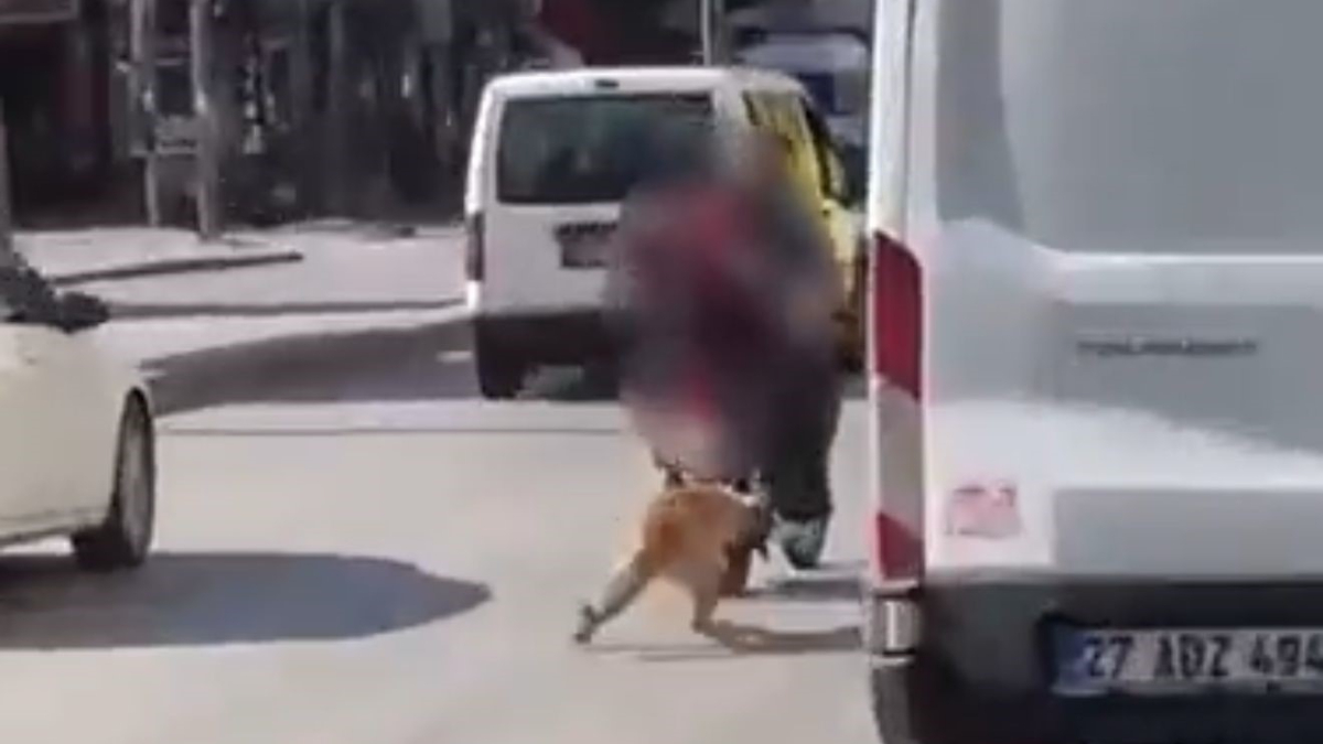 Gaziantep'te iki kişi motosikletin gerisine bağladıkları köpeği zorla götürmeye çalıştı.