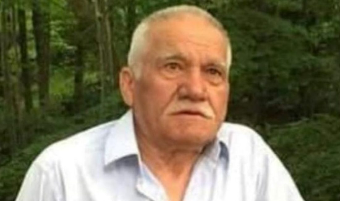 Giresun'da fındık bahçesinde arı soktuktan sonra kötüleşip hastaneye kaldırılan 71