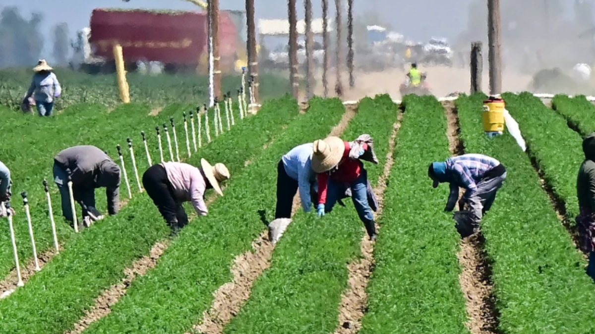 ABD'de, göçmenlerin hudut dışı edilmesi nedeniyle çalışan portföyünün yüzde 80'i
