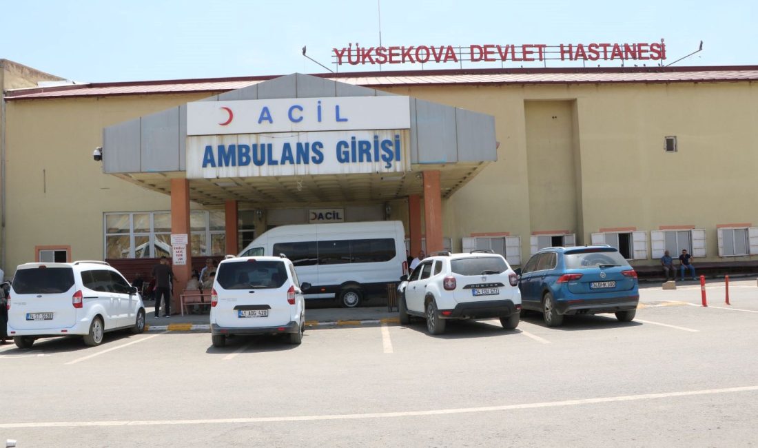Hakkari'nin Yüksekova ilçesinde merada hayvan otlatırken bacağına yorgun mermi isabet