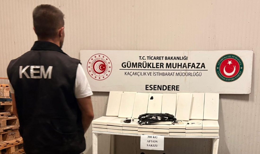 Yüksekova ilçesine bağlı Esendere Gümrük Kapısı'ndan Türkiye'ye giriş yapan Türk