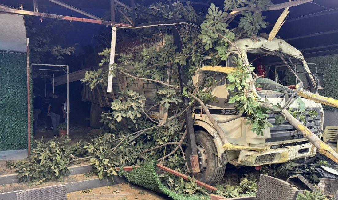 Antakya ilçesinde, şoförünün denetimini kaybettiği demir yüklü kamyonun, 8 metrelik