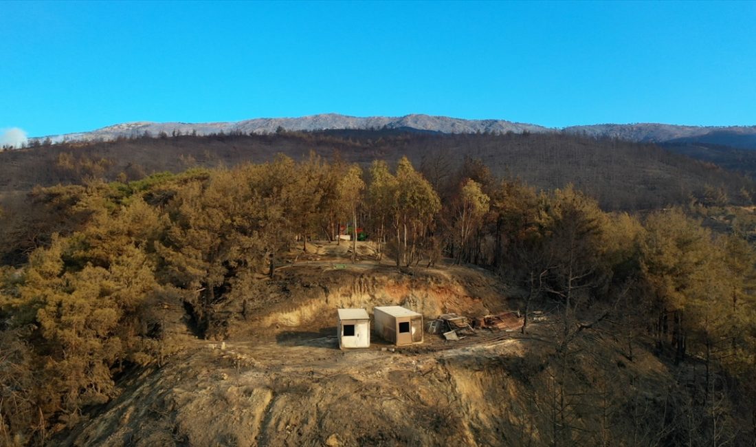Hatay'ın merkez Antakya ilçesinde devam eden orman yangınında ziyan gören