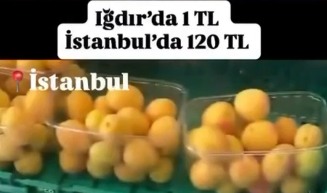 Toplumsal medyada "Iğdır’da kayısı 1 TL İstanbul’da 120 TL satılıyor"