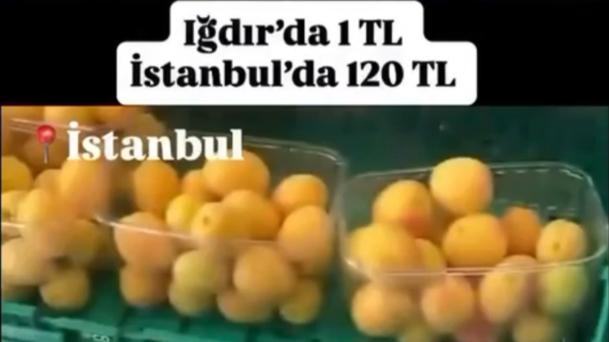 Toplumsal medyada "Iğdır’da kayısı 1 TL İstanbul’da 120 TL satılıyor"