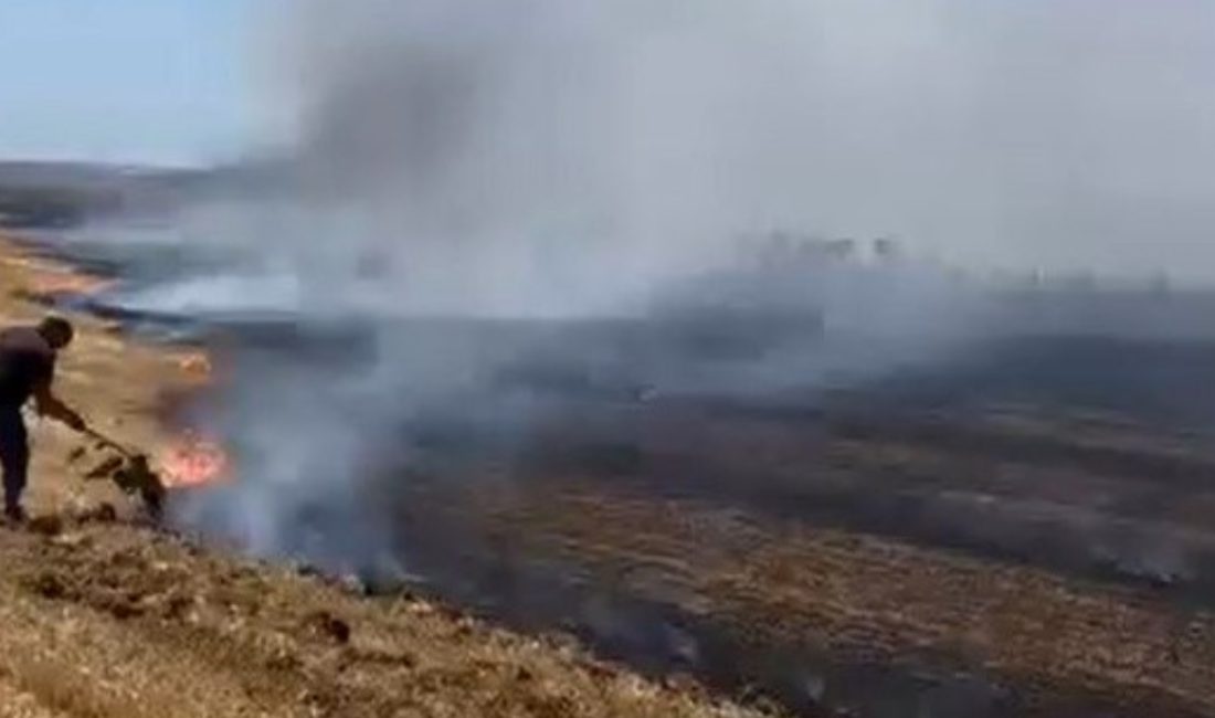 Silivri’de çıkan anız yangını mahalleliyi harekete geçirdi. İtfaiye gelene kadar