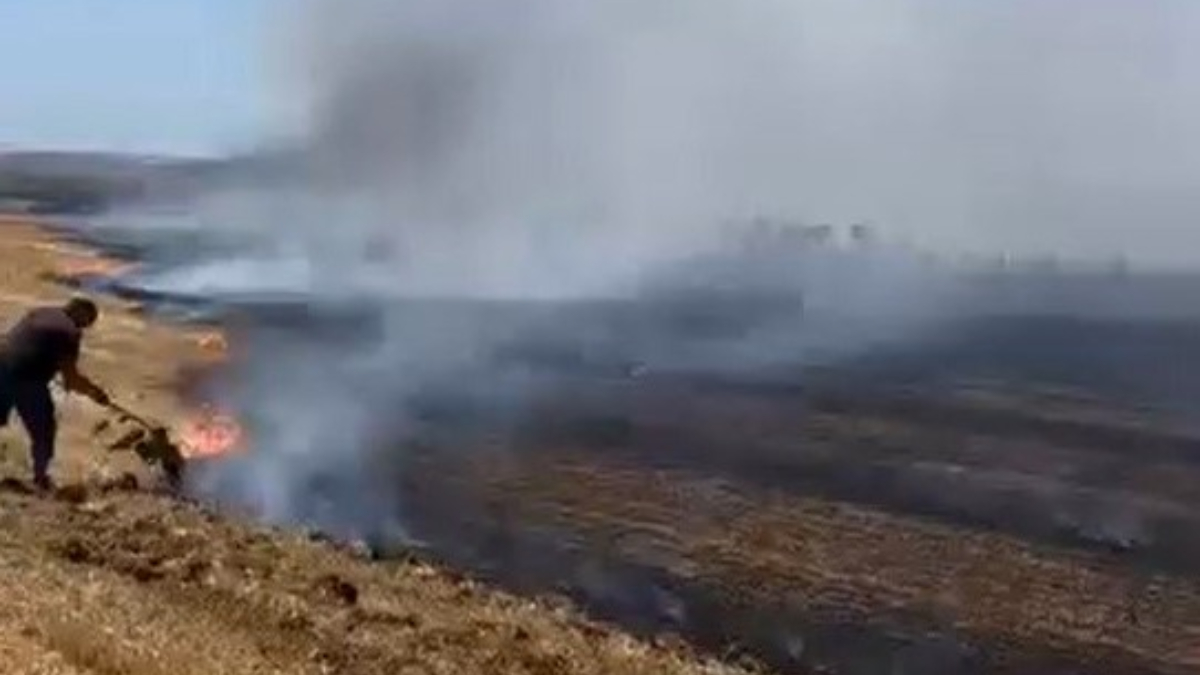 Silivri’de çıkan anız yangını mahalleliyi harekete geçirdi. İtfaiye gelene kadar