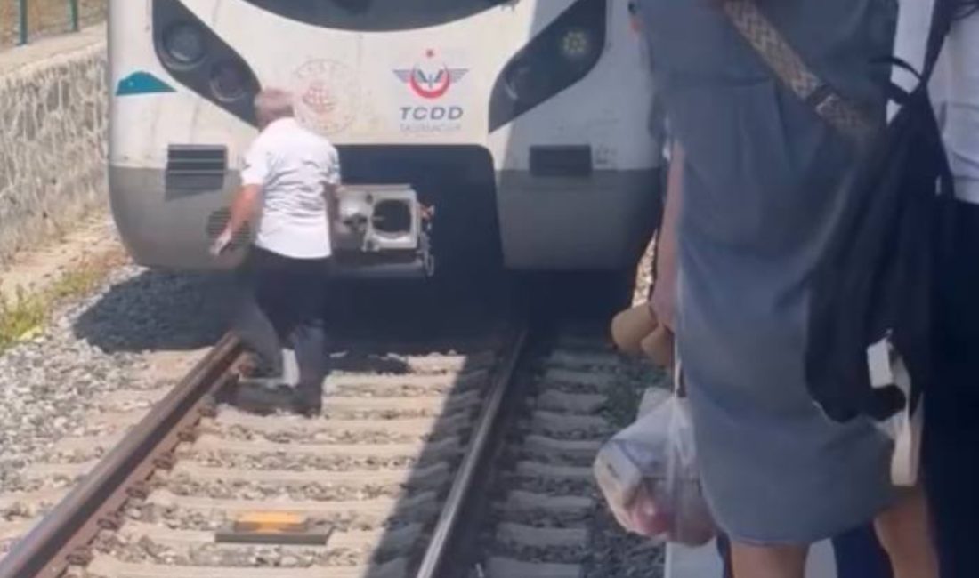 Bakırköy'de Marmaray durağında rayların üzerinde duran yavru kediyi fark eden