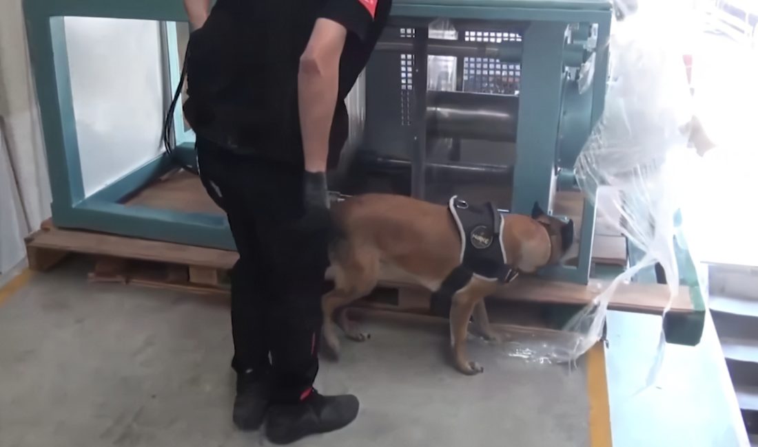 İçişleri Bakanı Ali Yerlikaya, İstanbul Çatalca'da düzenlenen operasyonda 60 kilogram