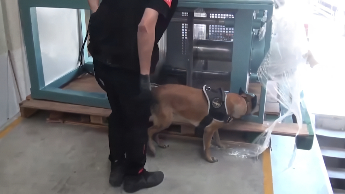 İçişleri Bakanı Ali Yerlikaya, İstanbul Çatalca'da düzenlenen operasyonda 60 kilogram