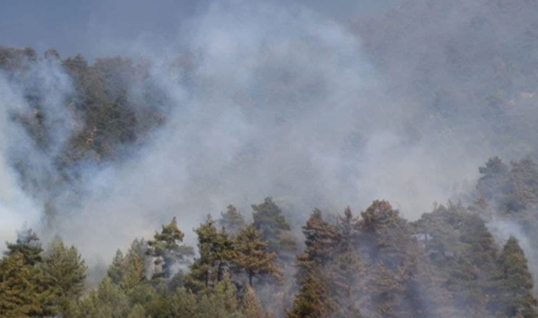 İtalya'nın Sardinya Adası'nda irili ufaklı çıkan 20 orman yangınının karadan