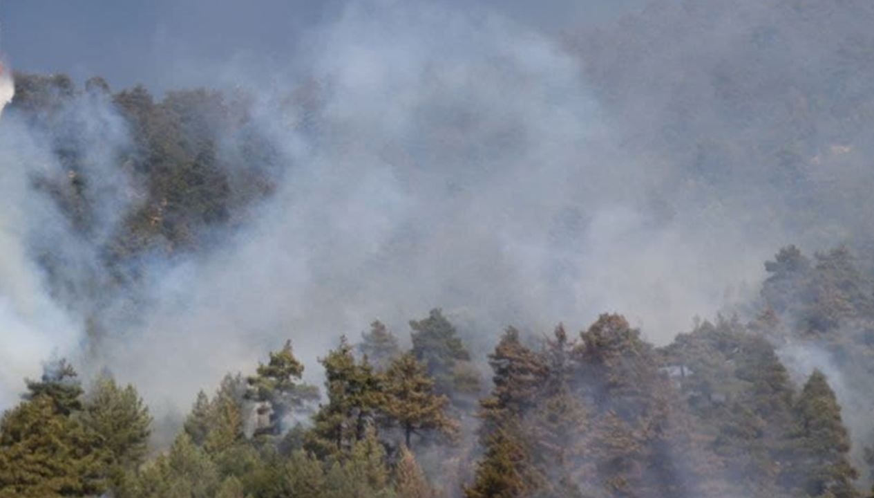 İtalya'nın Sardinya Adası'nda irili ufaklı çıkan 20 orman yangınının karadan