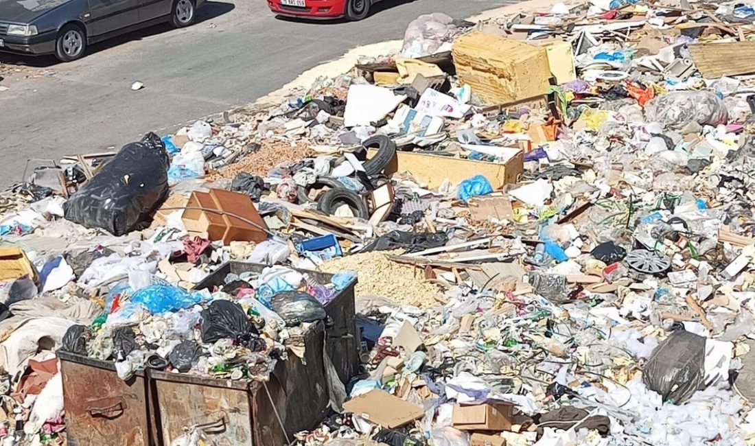 İzmir tekrar 'çöpleriyle' gündemde.... Yaklaşık bir haftadır orman yangınlarıyla uğraş