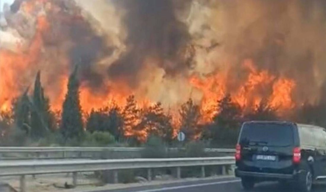 İzmir'in Buca ilçesinde orman yangını çıktı. Yangına havadan ve karadan