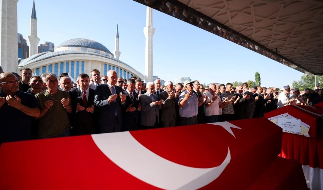 Eskişehir'in Seyitgazi ilçesinde çıkıp Afyonkarahisar sonunu geçen orman yangınına müdahale