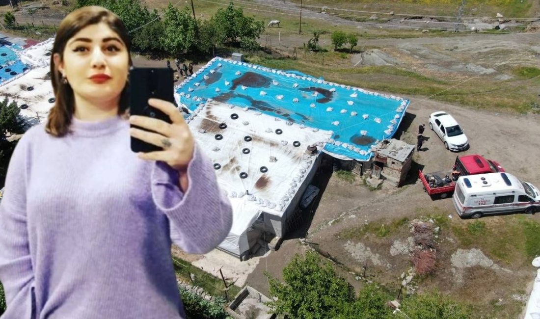 Elazığ'da Dilara Günana'nın öldürülmesine ait davada sanık V.K., maktulü başından