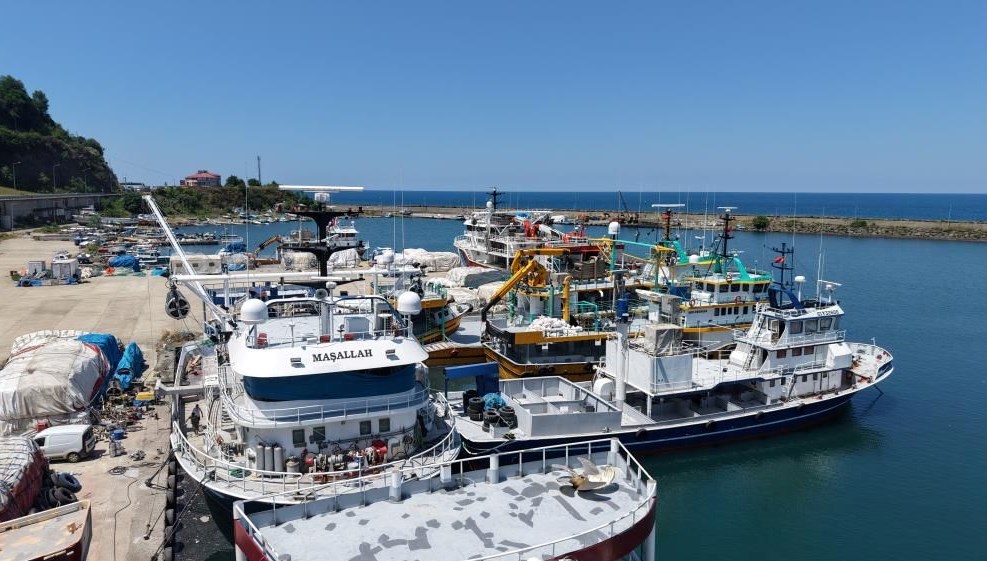 Balık avı dönemi 1 Eylül'de başlayacak. Yeni dönem öncesinde balıkçıların