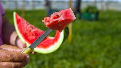 Yaz mevsiminin gelmesiyle birlikte besin zehirlenmeleri olaylarında artış gözleniyor. Uzmanlar,