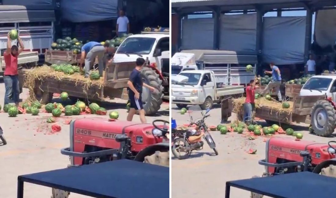 Sakarya'da toptancının son anda almaktan vazgeçtiği karpuzları yere atarak parçalayan