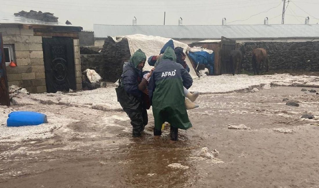 Kars'ta meydana gelen selde hayvanlar telef oldu, mesken ve ahırları