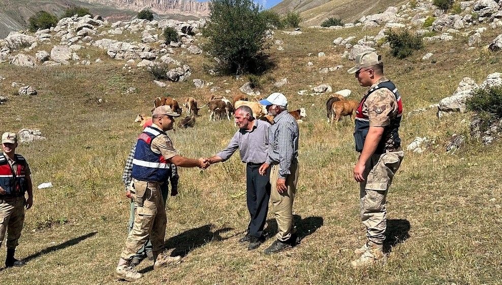 Erzurum'da dört gündür aranan 17 büyükbaş hayvanı, jandarma takımları buldu.