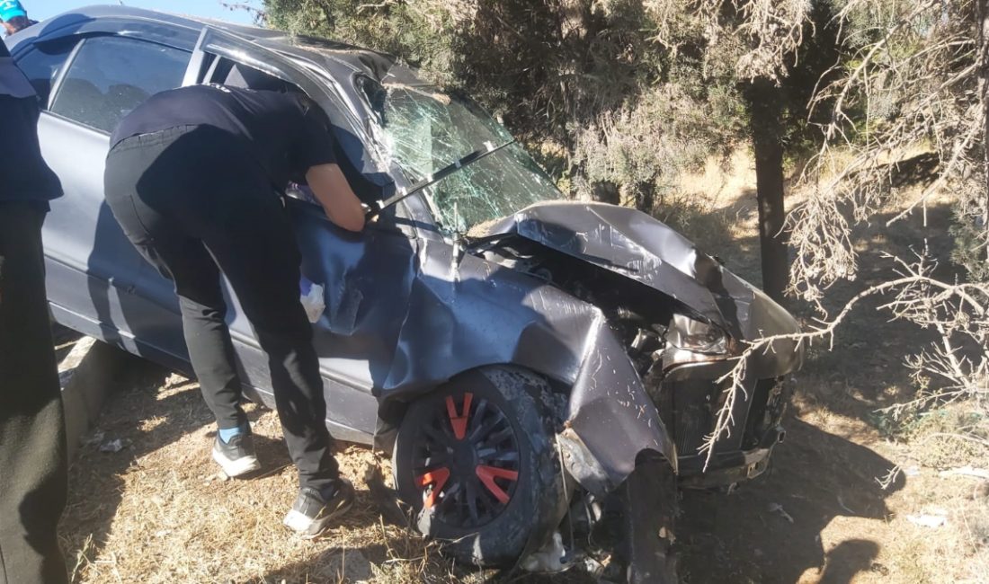 Dilovası ilçesinde, yol kenarındaki aydınlatma direğine çarpan araba, ağaçlık alana