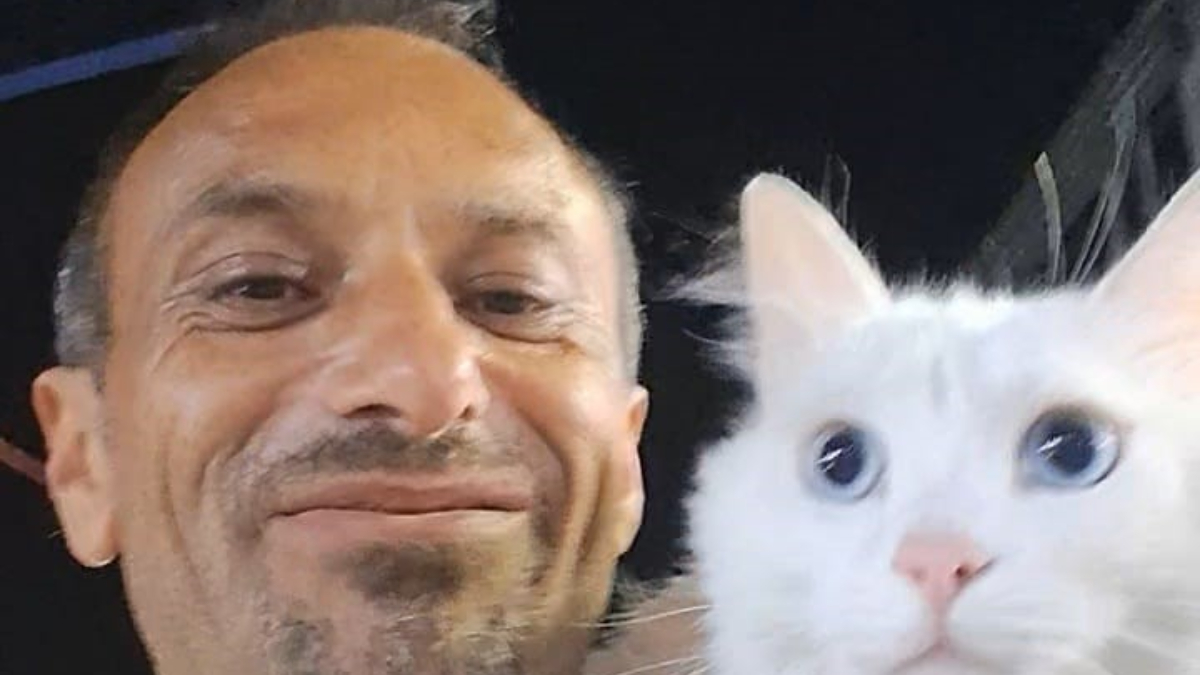 Kocaeli'de yaşayan Zülfi Satar, 3 yaşındaki sağır kedisi Pars'ın kaybolmasının