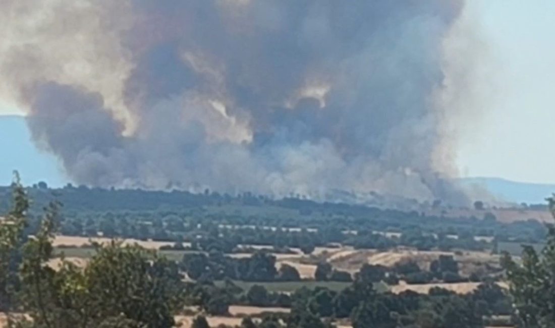 Bulgaristan'da çıkan orman yangını, Edirne'yi de etkiledi. Ağır duman ve