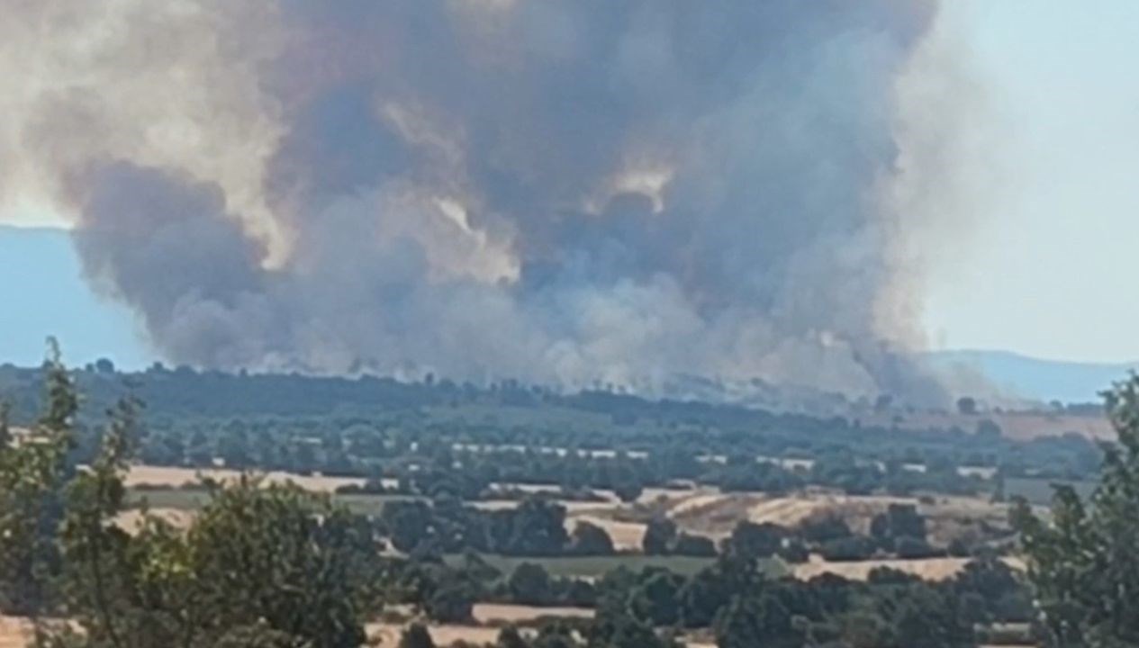 Bulgaristan'da çıkan orman yangını, Edirne'yi de etkiledi. Ağır duman ve