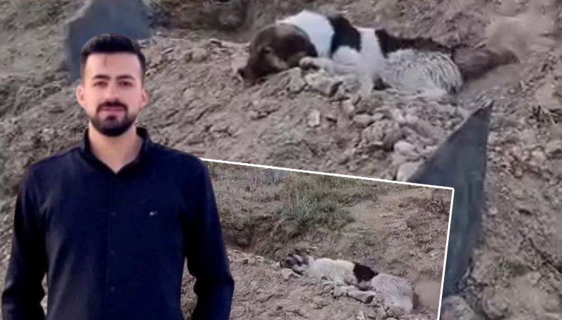 Kalp krizi sonucu hayatını kaybeden Muğdat Esener'in köpeği, sahibinin mezarınının