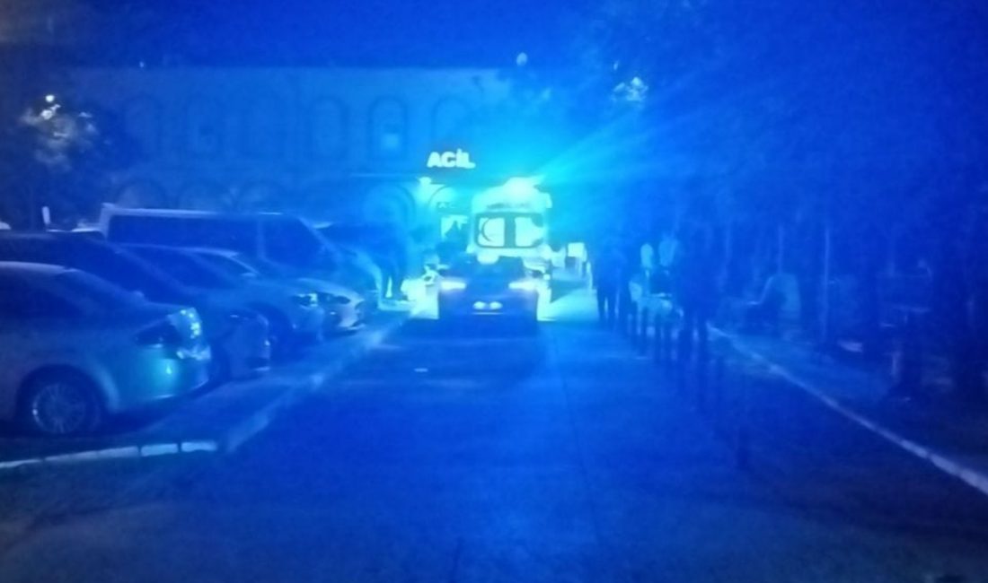Mardin'de konutunu basan iki kardeşini pompalı tüfekle yaralayan şahıs gözaltına
