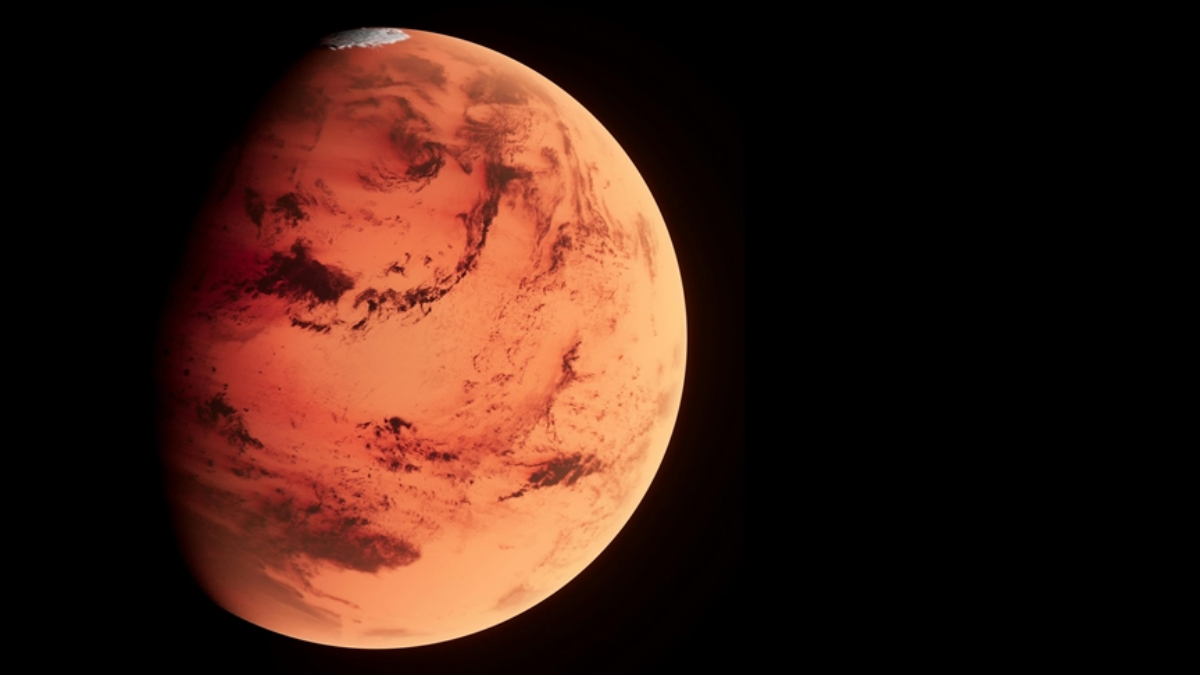 Mars'tan geldiği belirtilen ve dünyaya düşen en büyük gök taşı,
