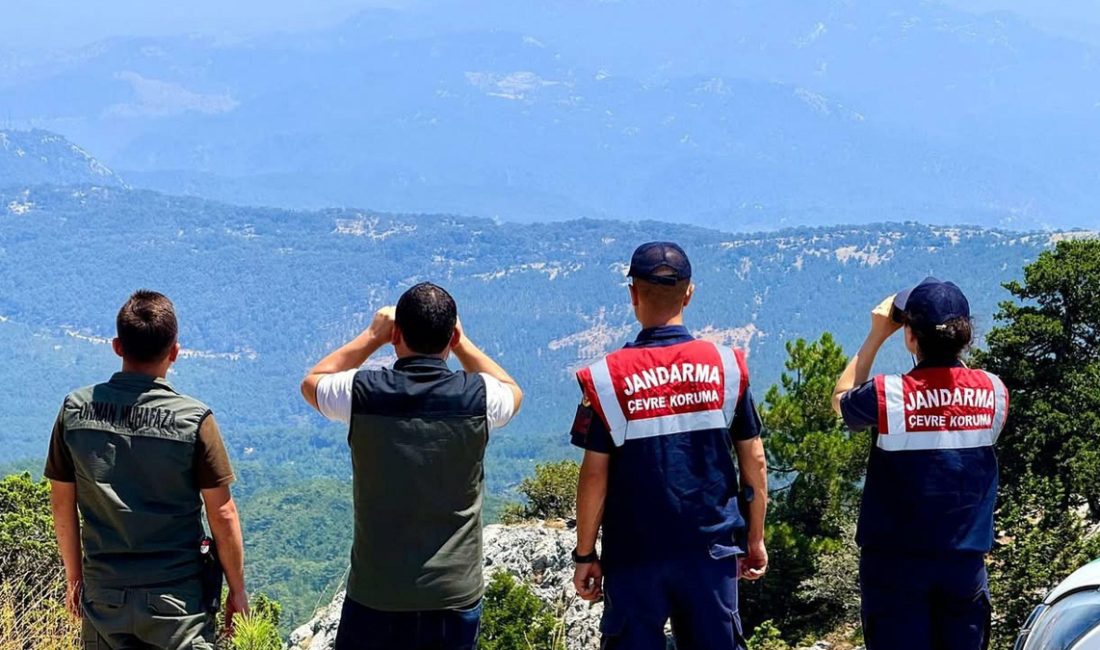 Muğla'da jandarma ve orman grupları orman yangınlarına karşı gözetleme ve