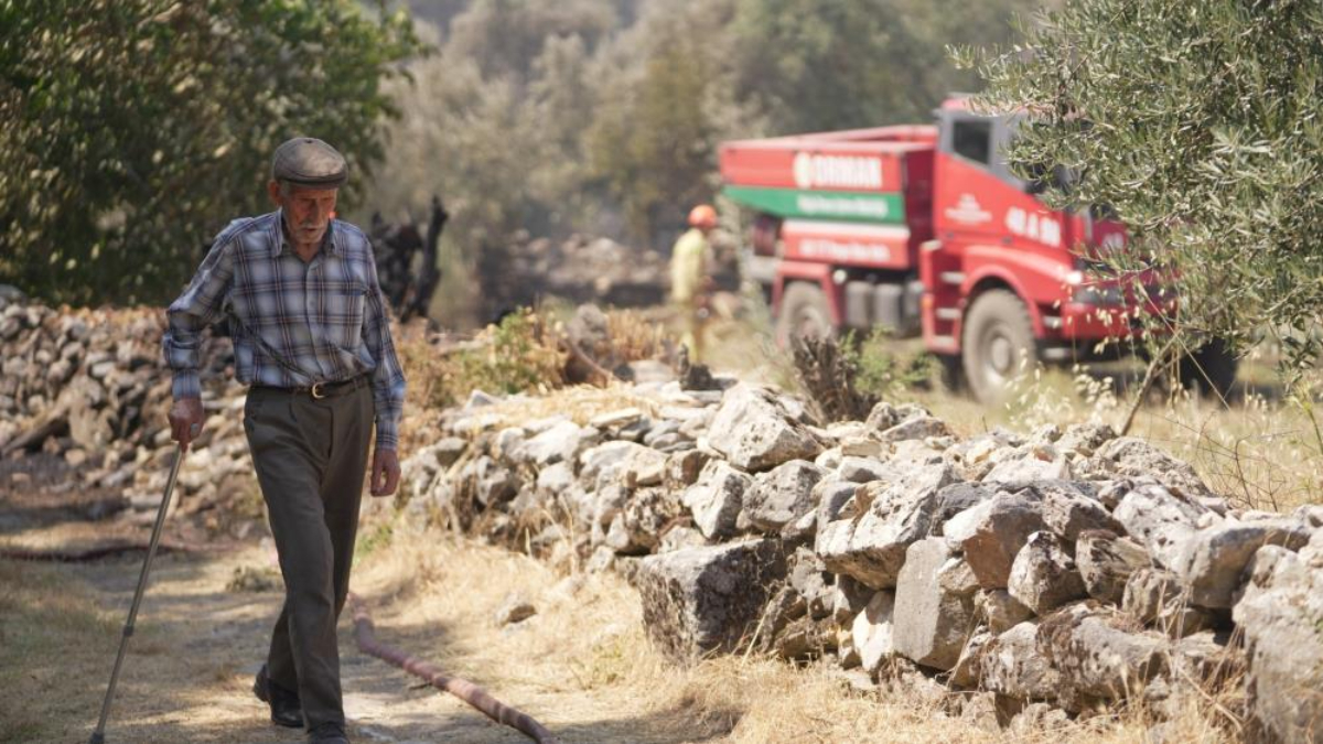 Muğla'da Stratonikia Antik Kenti içinde tesirli olan zirai alan yangını