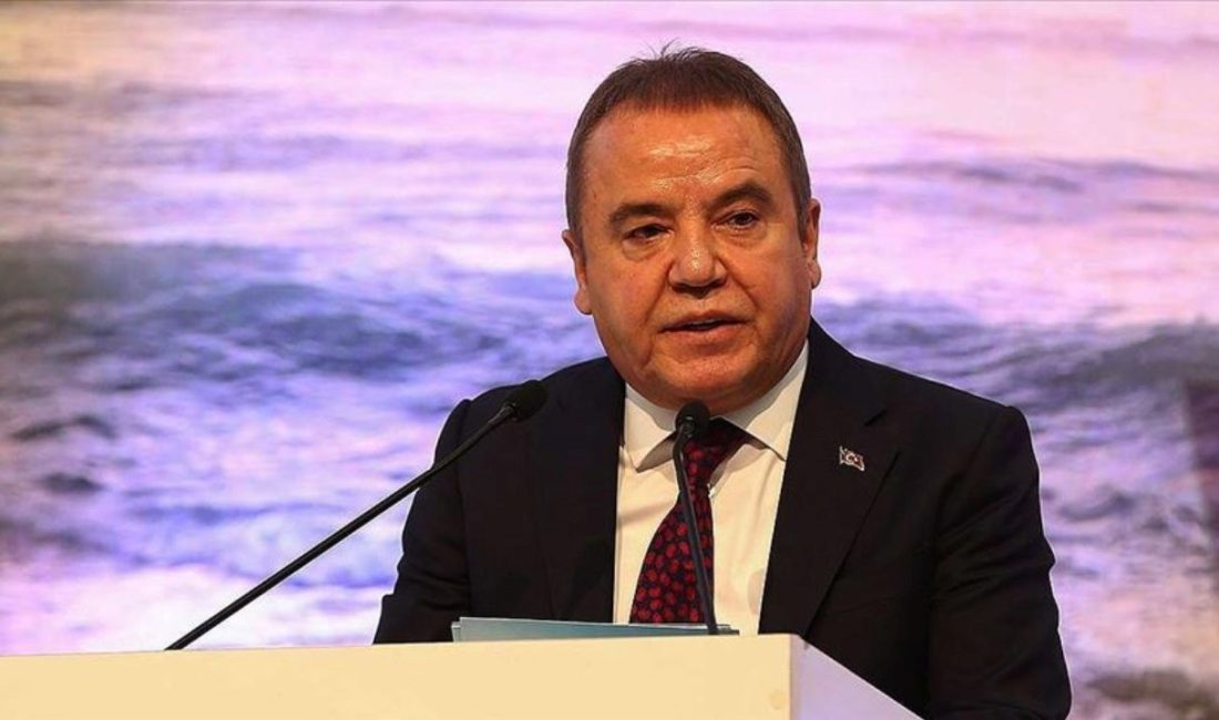 Muhittin Böcek, Türkiye'de siyaset haberlerini yakından takip eden birçok kişinin