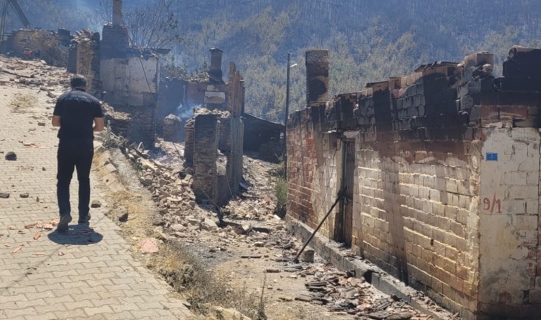 Karabük, Bilecik, Sakarya ve Antalya'daki orman yangınlarında 87 bağımsız ünitenin