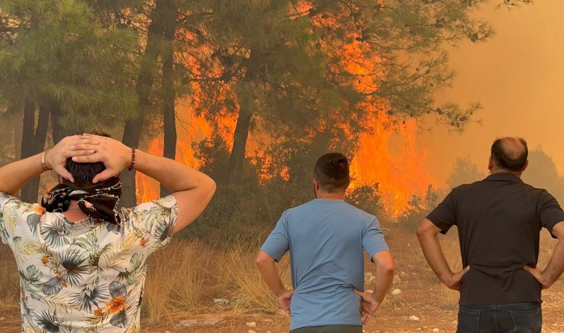 İçişleri Bakanı Ali Yerlikaya, orman yangınlarına ait provokatif paylaşımlar yaptıkları