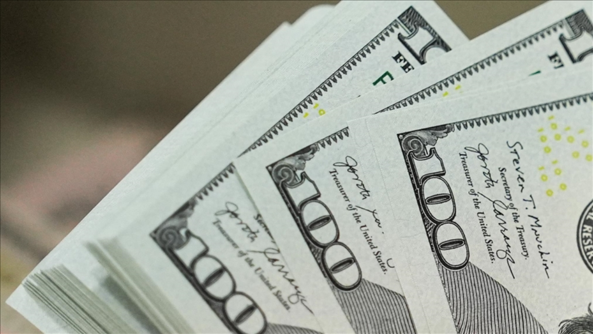 Merkez Bankası'nın açıkladığı özel dalın mayıs ayındaki yurt dışı kredi