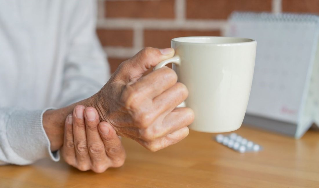 Birleşik Krallık’ta yapılan yeni bir araştırma, köpeklerin Parkinson hastalığını koklayarak