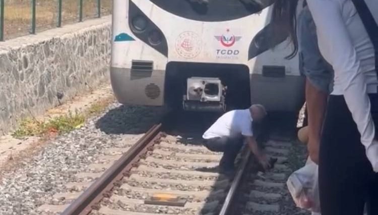 Bakırköy Marmaray durağında rayların üzerinde duran yavru kediyi fark eden