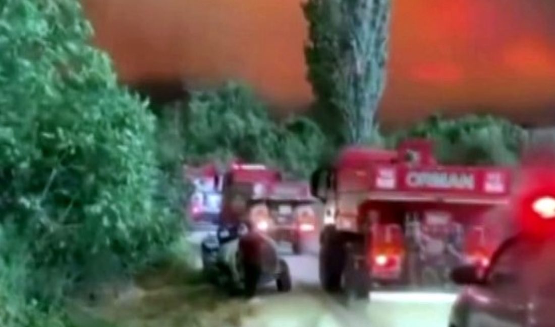 Sakarya'nın Geyve ilçesindeki orman yangınına müdahale eden takımlar, adeta alev