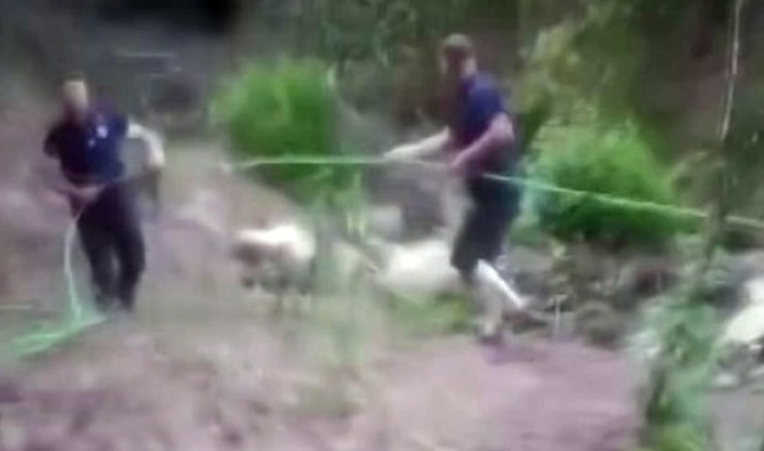 Sakarya'da mahallede sık sık yaşanan içme suyu kesintisi muhtarı harekete