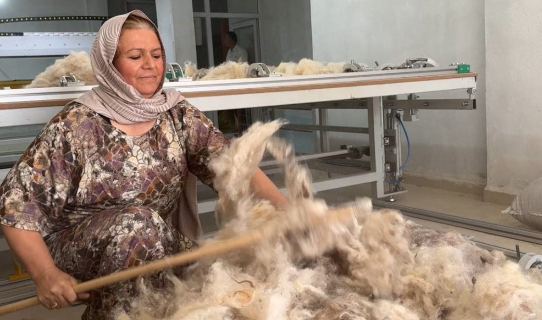 Konut iktisadına takviye sağlamak için bir makine ile dikişe başlayan